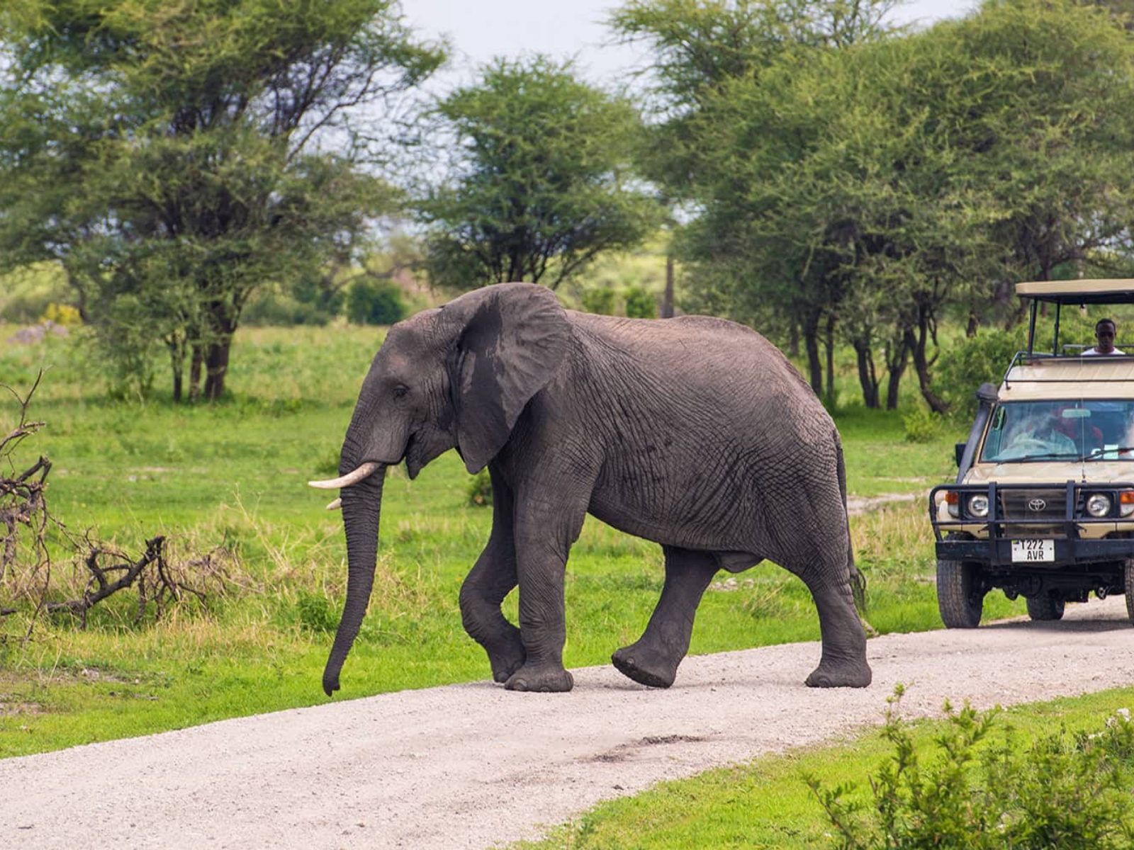 Serengeti National Park